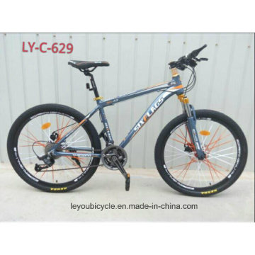 (LY-C-629) Fat Bike with New Design